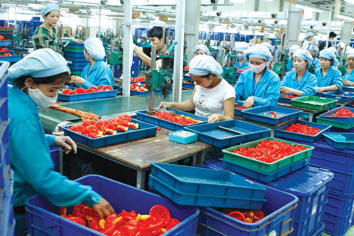 Doanh nghiệp công nghiệp hỗ trợ “ngóng” ưu đãi Điểm yếu của các doanh nghiệp nhựa - cao su là quy mô nhỏ lẻ, nằm rải rác trong các quận nội thành TP.HCM. Ảnh: Lê Tiên
