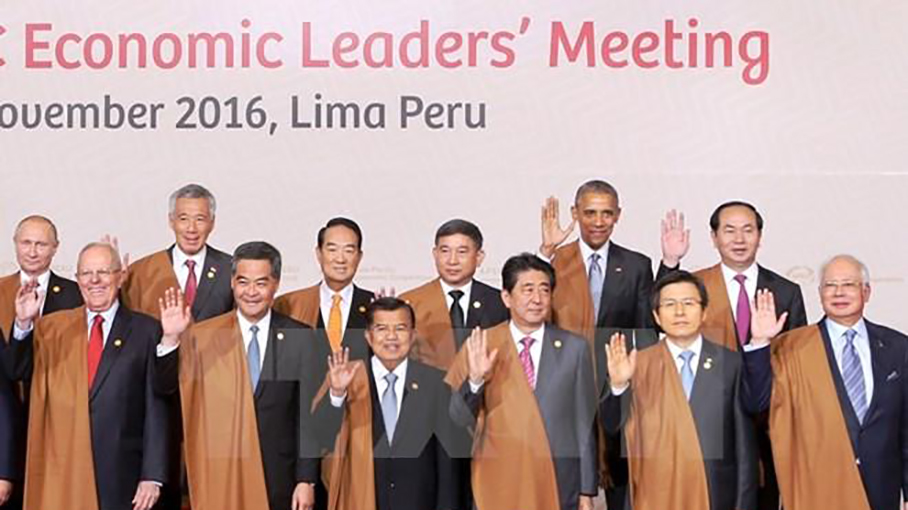 APEC 2017 là trọng tâm đối ngoại của Việt Nam đến năm 2020 Chủ tịch nước Trần Đại Quang khẳng định, đăng cai Năm APEC 2017 là trọng tâm đối ngoại của Việt Nam đến năm 2020 Ảnh: TTXVN
