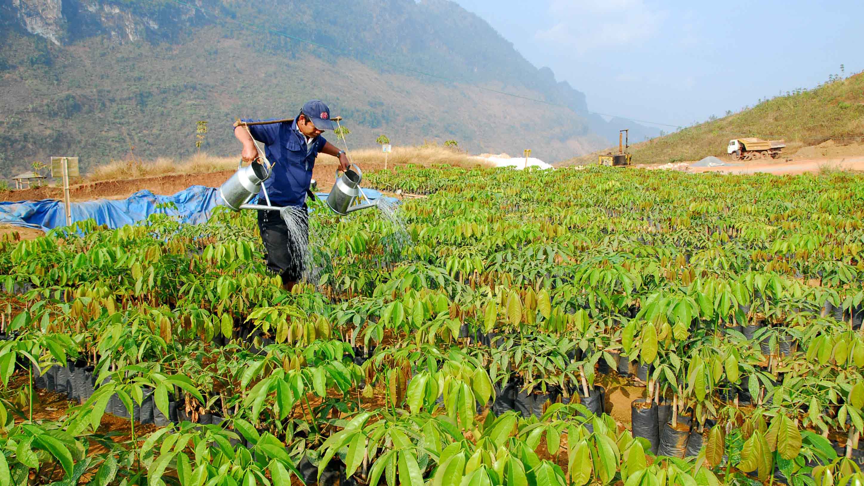 Theo đánh giá của Tổng cục Lâm nghiệp, chính sách chi trả dịch vụ môi trường  rừng (DVMTR) hiện được các cấp chính quyền và người dân ủng hộ. Ảnh: Tường Lâm